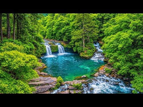 Restore Your Nervous System 🌿 Deep Calming Music For Sleep Peacefully, Stop Overthinking & Stress