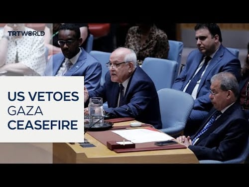 US vetoes UN Security Council resolution demanding Gaza ceasefire