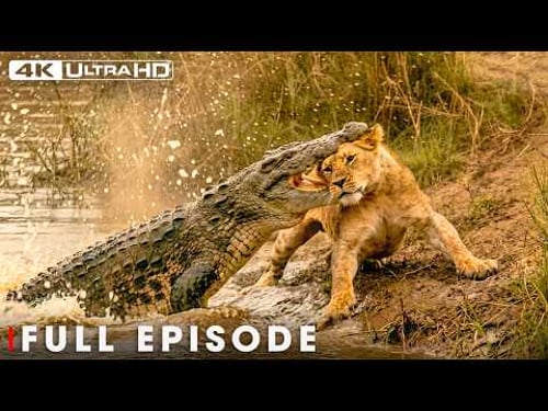 World's Deadliest: Predators Hunting Baby Animals | Nature Animal Documentary