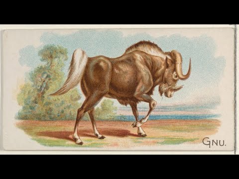 Don't like how it works? You can change Emacs.