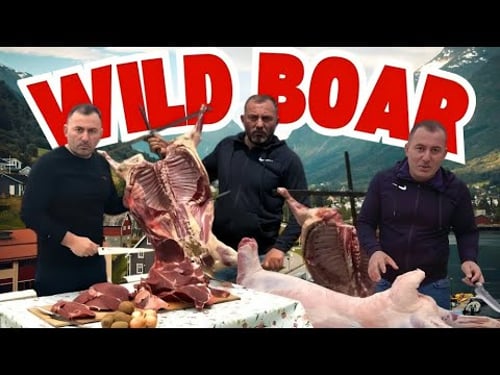 WILD BOAR! 🐗 The best dishes from BIG WILD ANIMALS by GEORGY KAVKAZ