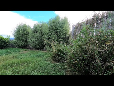 Neglected Garden Receives Yearly Restoration | Beautiful Transformation