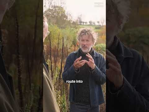 Dan Pearson on Living in Sync with Nature #homing #podcast #gardendesign