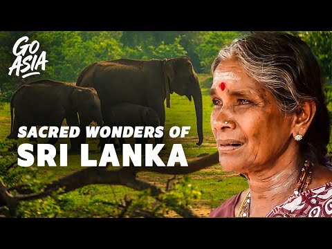 The Teardrop of India: What are the Sri Lanka’s Sacred and Natural Wonders? | Documentary - AMP