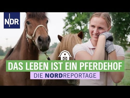 Schuften für den Traum: der eigene Islandpony-Hof | Die Nordreportage | NDR