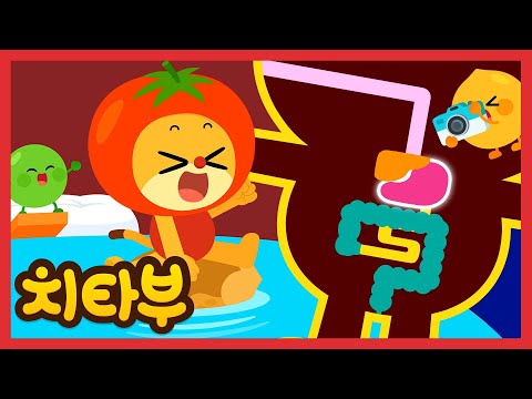 음식은 어떻게 소화되는걸까? | 생활 습관 동요 | 어린이 습관 동요| 교육 동요 | 신나는 인기동요 #치타부