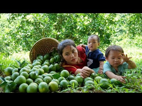 Harvest the orange garden to sell at the market - fish trap to catch fish, cook with your children