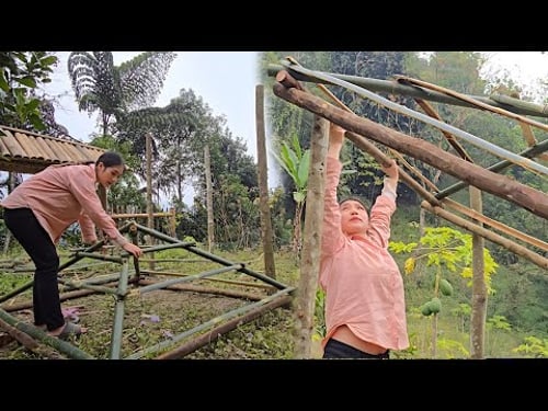 Ly's bold challenge: leave the city, renovate an abandoned house into a farm, and live alone.