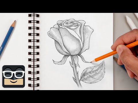 How to Draw a Realistic Rose | Step by Step Art Lesson for Beginners