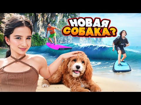 АМИНА ПРОСИТ НОВУЮ СОБАКУ 🤯 НАУЧИЛИСЬ СЕРФИТЬ 🤩 НОВЫЙ ОТЕЛЬ!!! VLOG