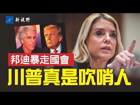 愛潑斯坦檔案新發現,川普角色大反轉!邦迪暴走國會,怒嗆納德勒,氣走巴林特。#愛潑斯坦 #邦迪 #川普 | 新視野 第2184期 20260212