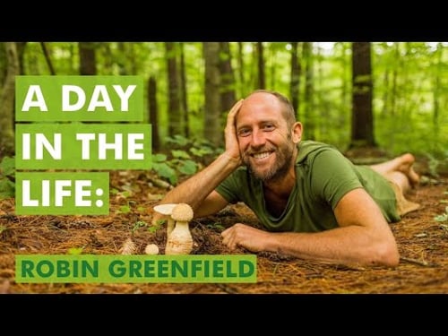 A Day in the Life of Robin Greenfield - Living Simply and Sustainably