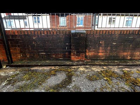 The Dirtiest Walls I've Ever Cleaned...