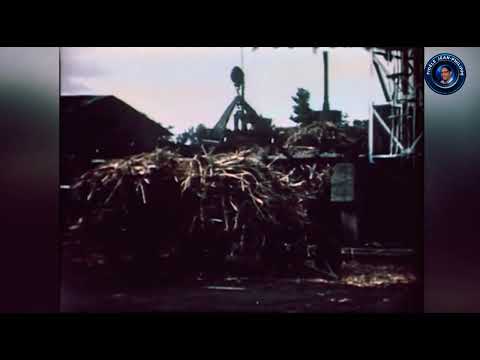 Souvenirs d’antan de Guadeloupe 1955 a 1960