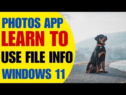 HOW TO USE FILE INFO IN PHOTOS APP | View Photo Details in Windows 11