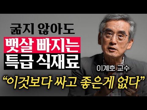 "굶기는 답이 아닙니다." 저절로 살 빠지는 체질이 되는 구체적인 방법 (이계호 교수 1부)