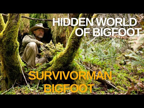 Survivorman Bigfoot | The Hidden World | Les Stroud | Jeff Meldrum | Directors Commentary