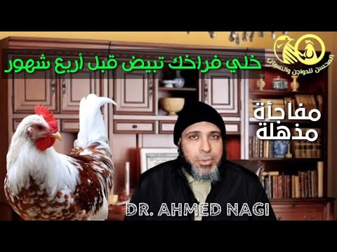 4 حاجات تخلى فراخك تبيض عند عمر أربع شهور وتغرقك بيض🐓ومفاجأة آخر الفيديو ستذهلك لشغل التسمين🐔 كنز ✔️