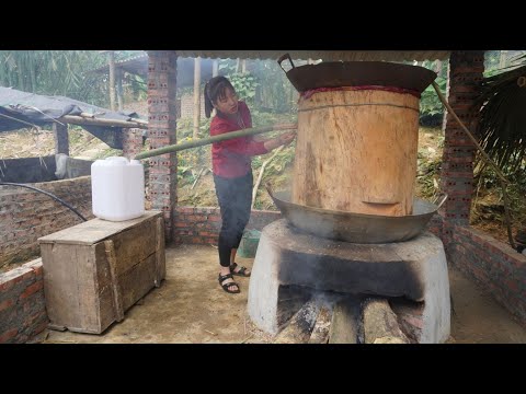 Brewing beer using primitive technology - Build kitchen and Large trees pipes / Start to finíh