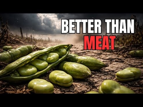 This Crop Beats Chicken in Protein and Survives Where Others Fail — Why Did It Disappear?