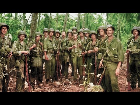 미 해병대가 일본군의 "너무 가까이" 접근하도록 허용하고 하룻밤에 800명을 사살한 이유