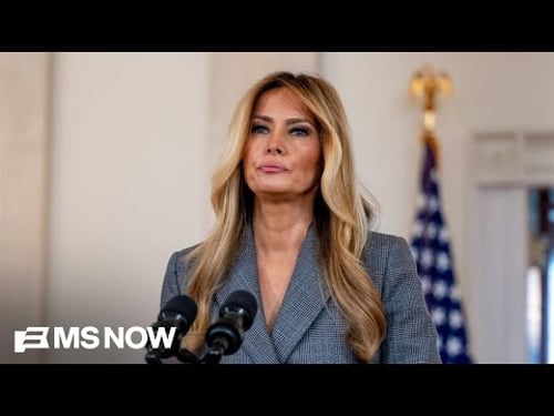 ‘She doesn’t do anything on the fly’: Fmr. Melania Trump official reacts to her Epstein statement