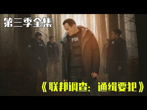 一口气170分钟看完《联邦调查》S3全集,每集一个大案重案,英勇警探屡破奇案,过程惊险过瘾!