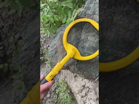 I found some antique items with a metal detector.