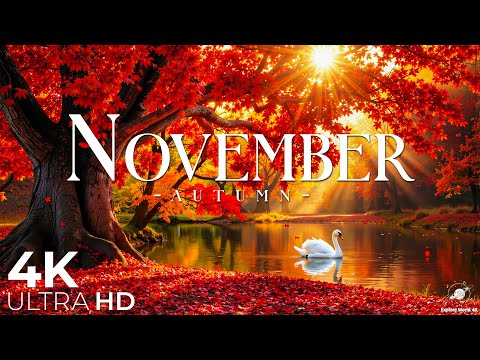 November in Fall 4K – The Last Colors of Autumn | Peaceful Relaxing Nature Film🍂
