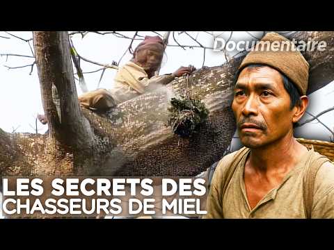 Les secrets des derniers chasseurs de miel du Népal - Documentaire complet