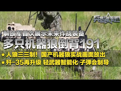 解放军让机器狼倒背191式步枪:“人狼三三制”实战画面首次放出!中国轻武器即将实现智能化?子弹也会制导了?一系列未来作战装备曝光:更快更强!歼-35战机还要升级?「兵器面面观」| 军迷天下