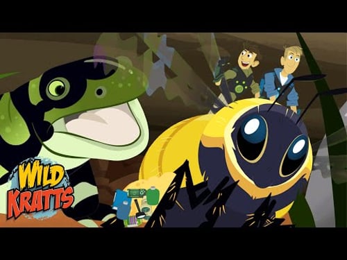 Escaping a Tiger Salamander | Riding a Bumblebee | Season 7 | Wild Kratts