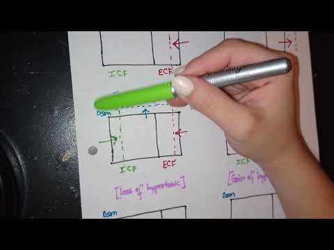 Body Fluid Compartments Made Easy