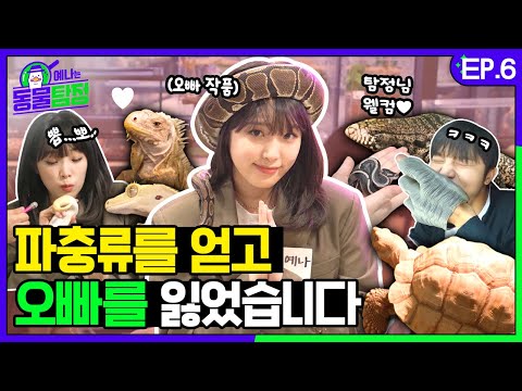 A reptile more expensive than a luxury car🦎? We met some reptiles | Animal Detective EP.06