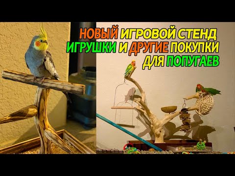 НОВЫЙ ИГРОВОЙ СТЕНД ДЛЯ ПОПУГАЕВ ИГРУШКИ И ДРУГИЕ ПОКУПКИ ДЛЯ ПТИЧЕК