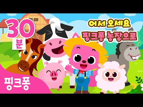 핑크퐁 농장 동물 동요ㅣ꿀꿀🐷꼬끼오🐔음매🐮귀여운 동물들을 만나러 오세요!ㅣ핑크퐁의 동물 농장ㅣ+모음집ㅣ동물 동요ㅣ핑크퐁! 인기동요