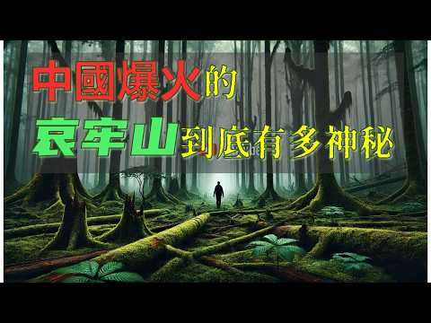 哀牢山事件真相!中國最危險的原始森林!哀牢山的複雜地質與神秘失蹤案揭示人類無法觸及的禁地!#神秘失蹤 #自然遺產 #迪亞特洛夫事件 #地質隊失蹤 #神秘未解之谜