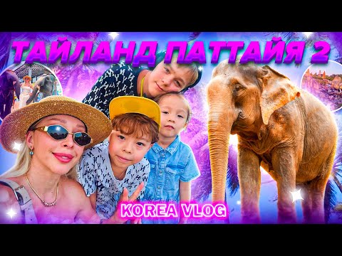 Паттайя влог 2/декабрь/Kirea vlog