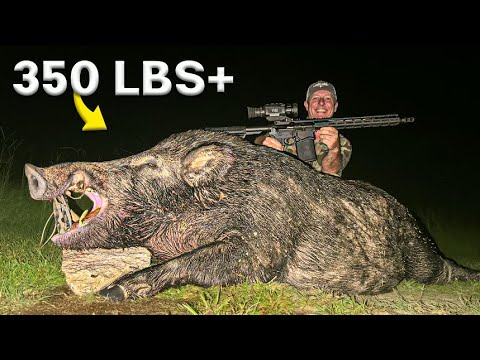 My LARGEST wild hog EVER!!!