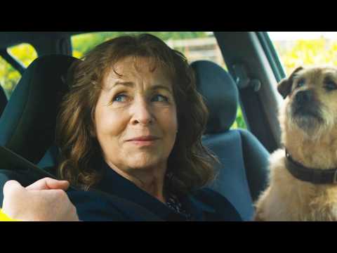 丈夫因病离世,一只狗找上悲伤一家,当它靠近墓碑妻子才瞬间明白一切!感人电影【光影】