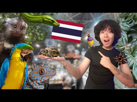 Largest Animal Show in “SOUTHEAST ASIA” (So many INSANE Animals🐆)