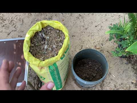 أربع طرق لتخمير السماد العضوي مخلفات طيور واغنام وماشابه ، لو عندك مخلفات غير محللة شاهد ☝️