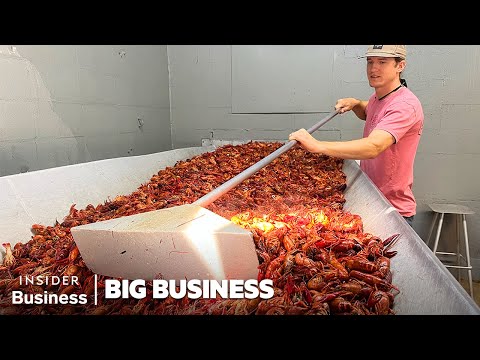 How A Louisiana Crawfish Company Harvests 60,000 Pounds A Day | Big Business | Business Insider