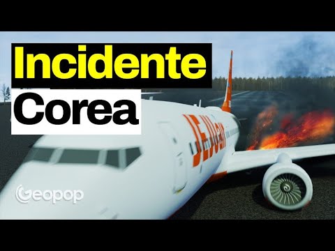 Incidente aereo in Corea del Sud con animazioni 3D inedite - ipotesi, cause e domande