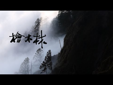 【森林運動】檜木林-森林保育運動(我們的島 第1032集 2019-12-02)