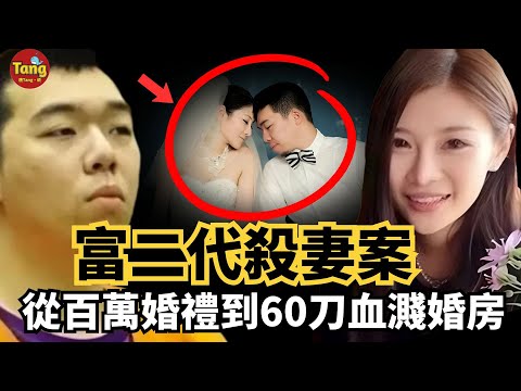 富二代殺妻案:從百萬婚禮到血濺婚房,60刀背後的扭曲愛情,一個高知家庭女兒的血淚婚姻警示錄#调查#事件#真相@TangtangSay