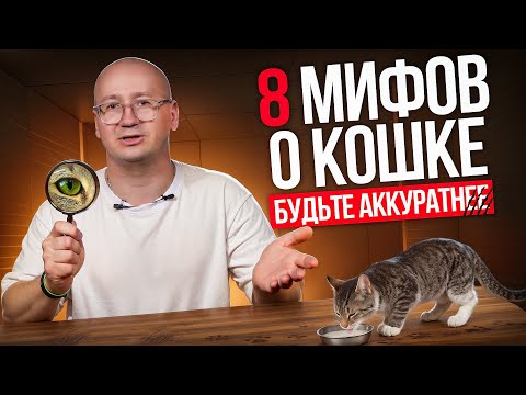 8 MYTHS ABOUT CATS — a zoopsychologist explains where the truth is and where fiction is
