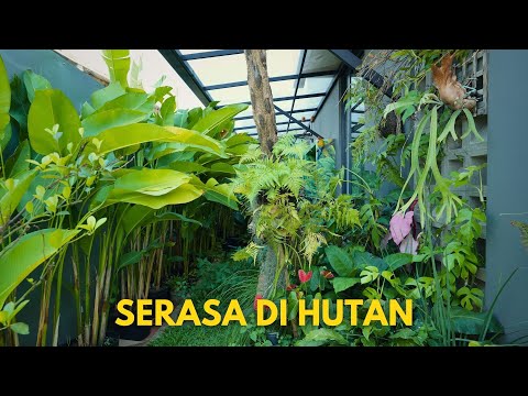 Rumah 2 Kamar Dibikin Ala Hutan