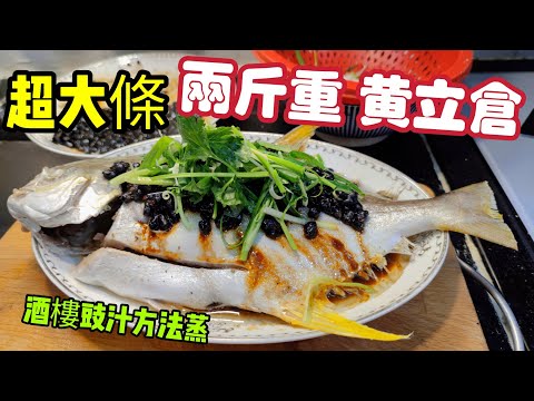 〈職人吹水〉 超大條兩斤重/黃立倉 拆解酒樓/ 蒸魚豆豉醬/好味之謎/ 適用於豉汁蒸倉魚/ @Singsingkitchen/