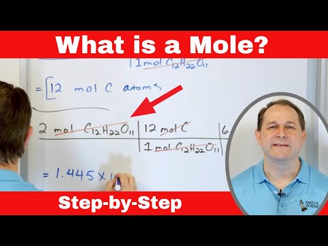 The Mole & Avogadro's Number in Chemistry - Definition & Meaning